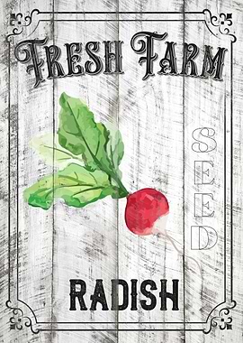 Radish