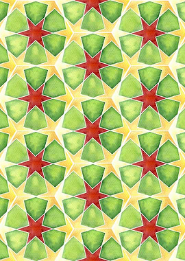Floral Geometric Pattern07