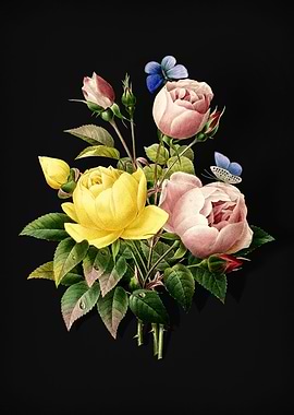 Variety of Roses on Black