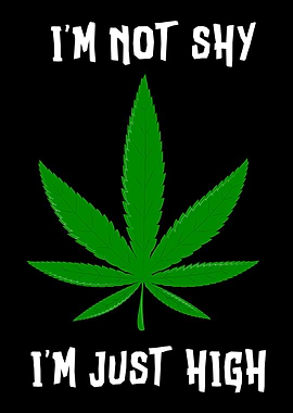 Im Not Shy Im Just High