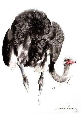 Ostrich