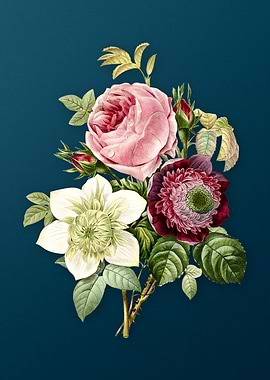 Anemone Rose on Teal
