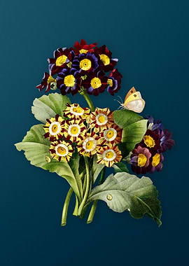 Antique Flower on Teal