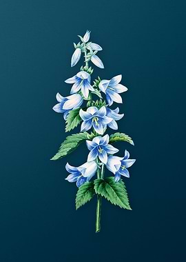 Bellflowers on Teal
