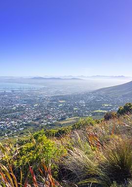 View of Cape Town city