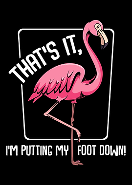 Thats It Im Putting My F