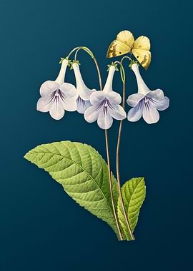 Canterbury Bells on Teal