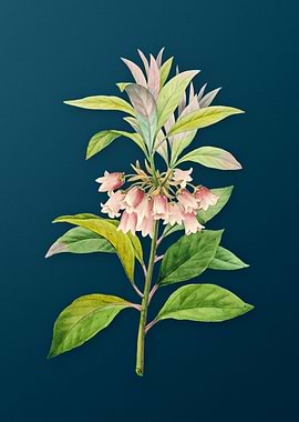 New Year Flower on Teal