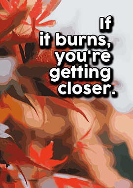 Life Love Quotes 833