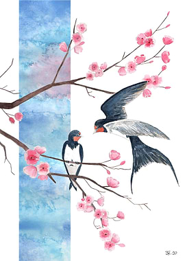 Swallow on sakura