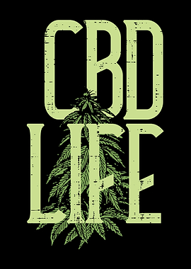 CBD Life Plant