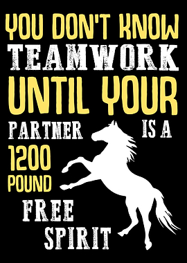 Wild Horse Funny Horse