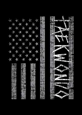 US Flag Taekwondo