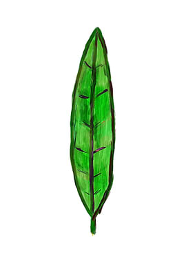 Leaf