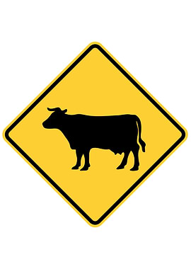 USA Road Sign
