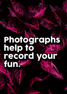 Life Love Quotes 856