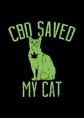 CBD Saved My Cat