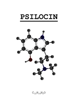Psilocin