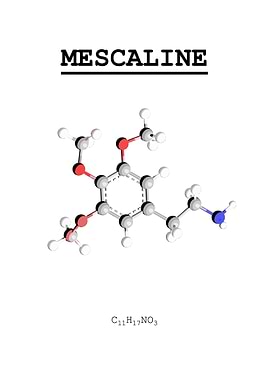 Mescaline