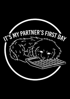 paramedic EMS medical