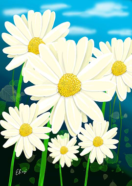 Daisies