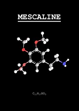 Mescaline