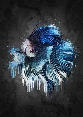 Blue Betta Fish