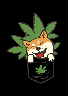 Shiba Inu CBD