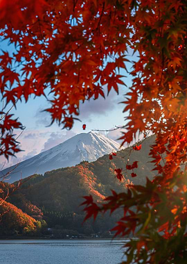 Fuji San autumn