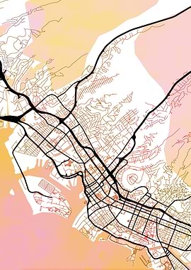 Honolulu Street Map