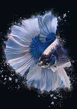 Betta Paintings