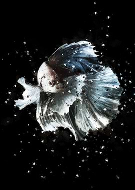 Siamese Fighting Fish