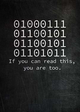 Programmer Binary Code
