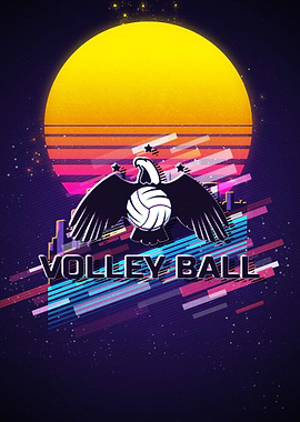 volleyball