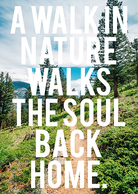 Trail Hiking Natur Wandern