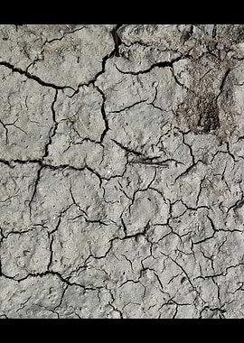 Desert Cracks Salt Lake