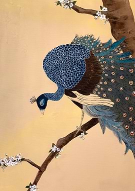 Peacock on plum tree