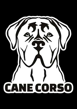 Cane Corso