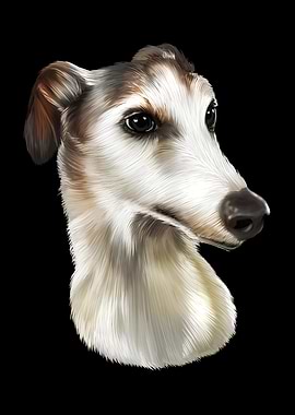 Greyhound Portrait