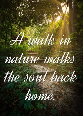 Entspannen Natur Wandern