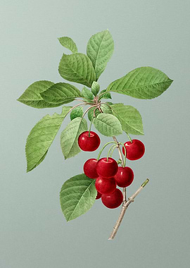 Cherry on Mint Green