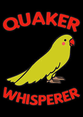 Quaker Whisperer Parrot