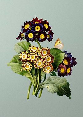 Antique Flower on Mint