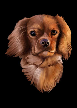 King Cavalier Dog