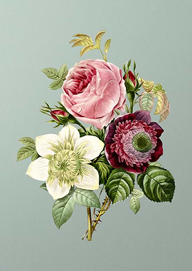 Anemone Rose on Mint Green