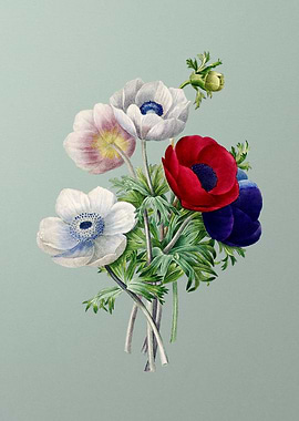 Anemone Simplex on Mint