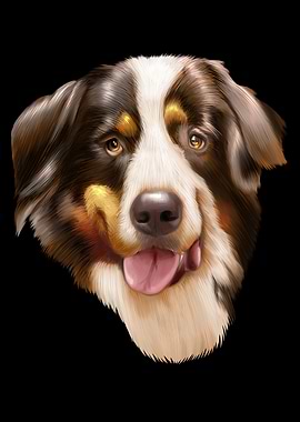 Bernese Mountain Dog