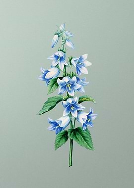 Bellflowers on Mint Green