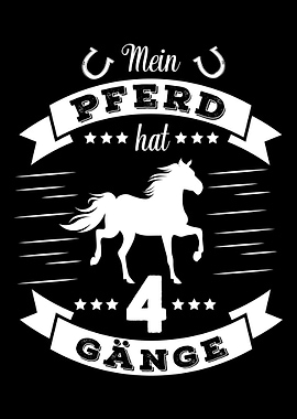 Isländer Tölt 4 Gänge