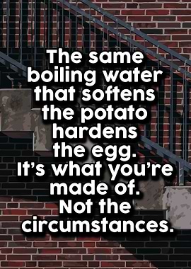 Life Love Quotes 949